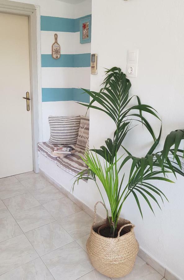 Mesogitonia House Apartman Káto Zákros Kültér fotó